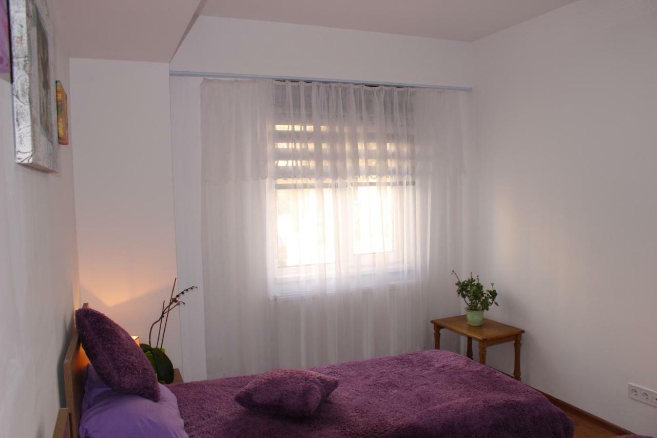 Still Apartament Craiova Buitenkant foto
